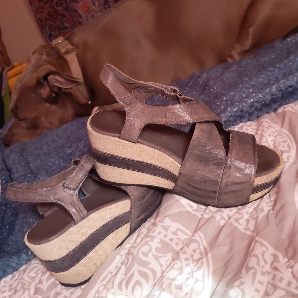 Antelope, size 38